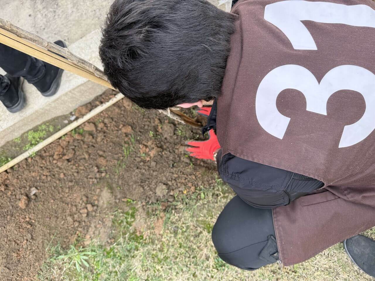 Tree Campaign